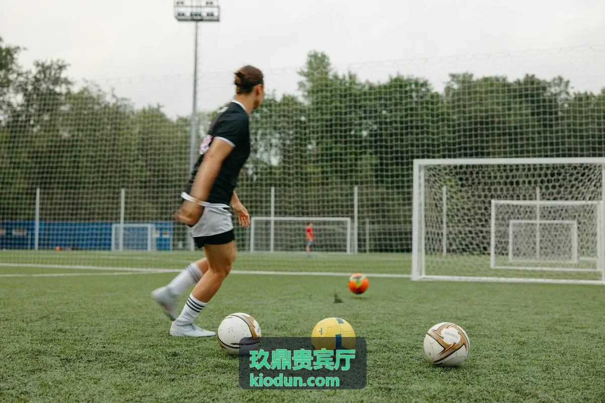 玖鼎贵宾厅商务会务